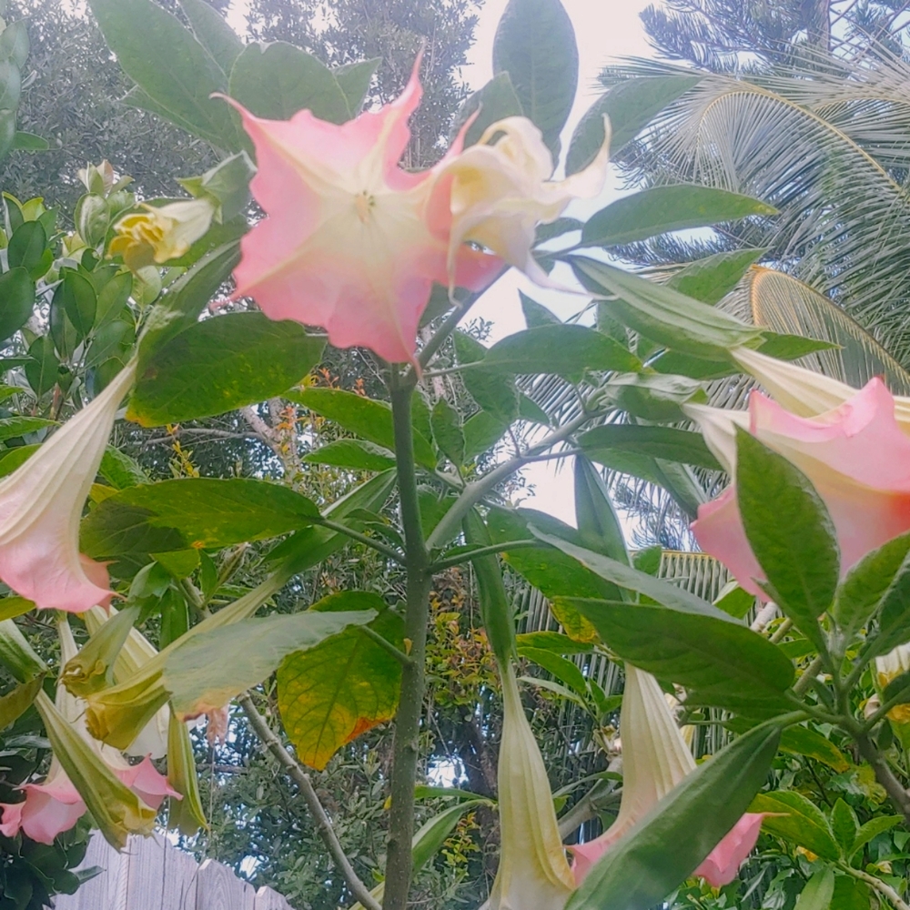 Meet your Posher, Ellie